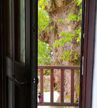 Sea View Vintage & River Ground Apartment Chorefton