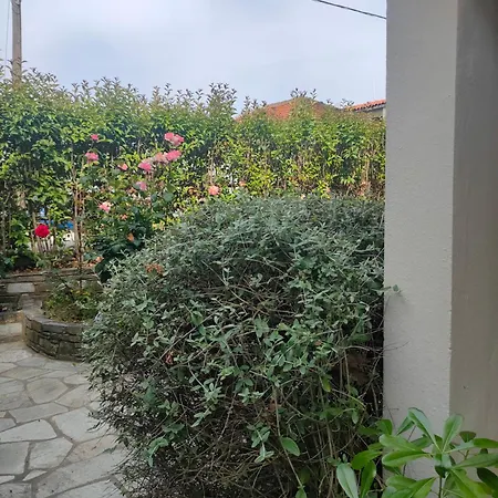 Διαμέρισμα Sea View Vintage & River Ground