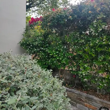 Vintage House By The Sea *