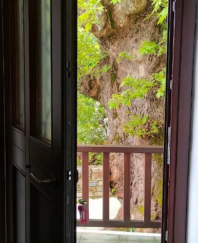 Vintage House By The Sea Apartament Chorefton