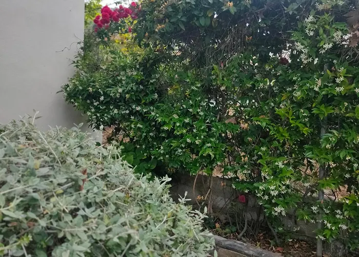 Vintage House By The Sea *